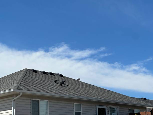 Best Chimney Flashing Repair  in Golf Manor, OH